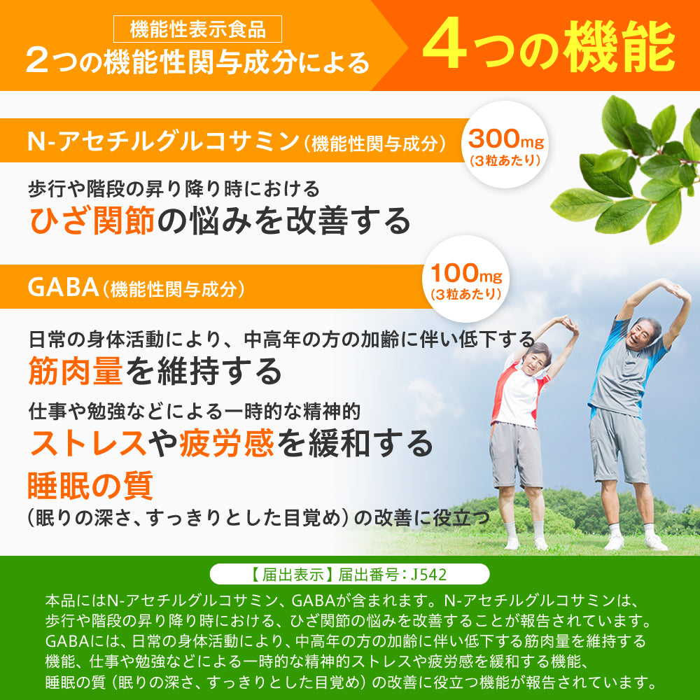 関節+筋肉Wサポート