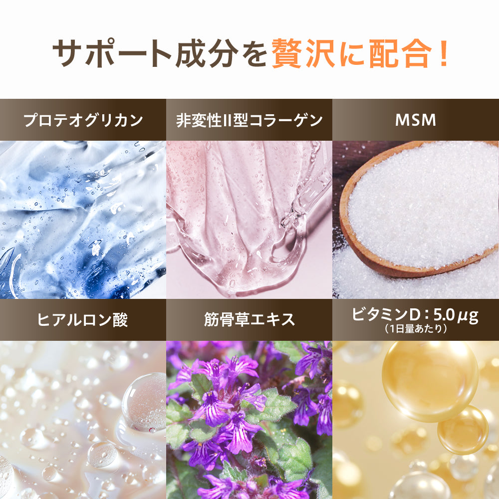 関節+筋肉Wサポート
