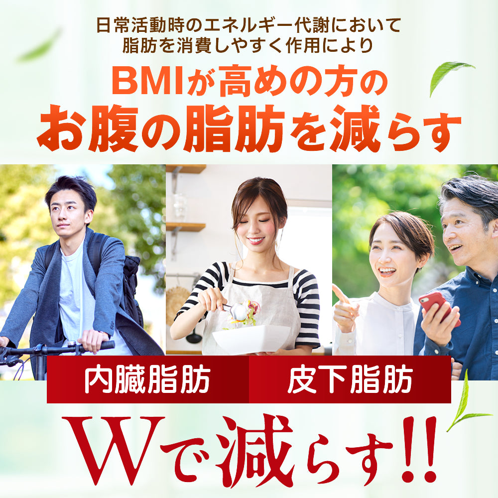 ナイシメンテEX