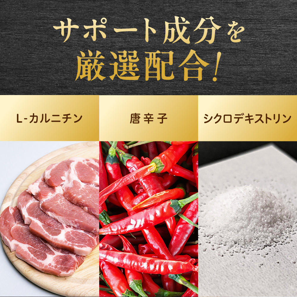 ナイシメンテEX