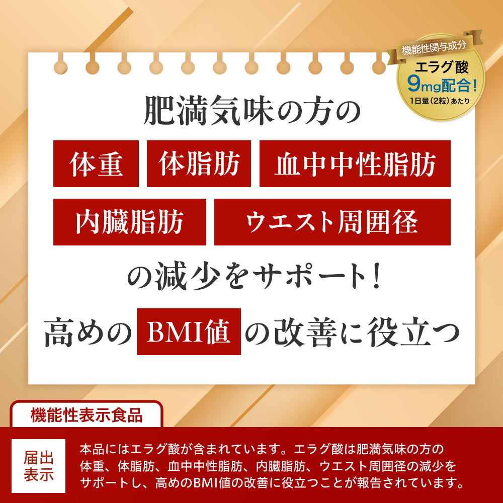 ナイシメンテGOLD