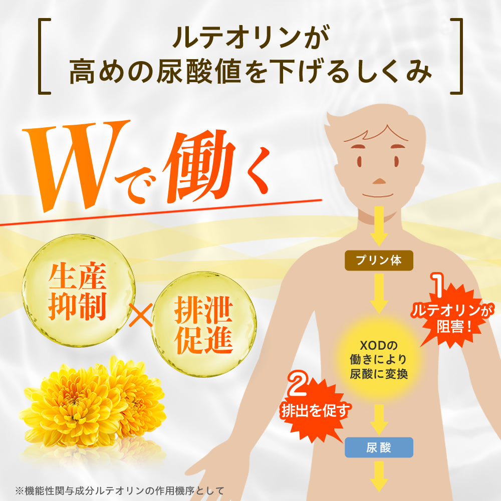 尿酸値対策トリプル60粒入り