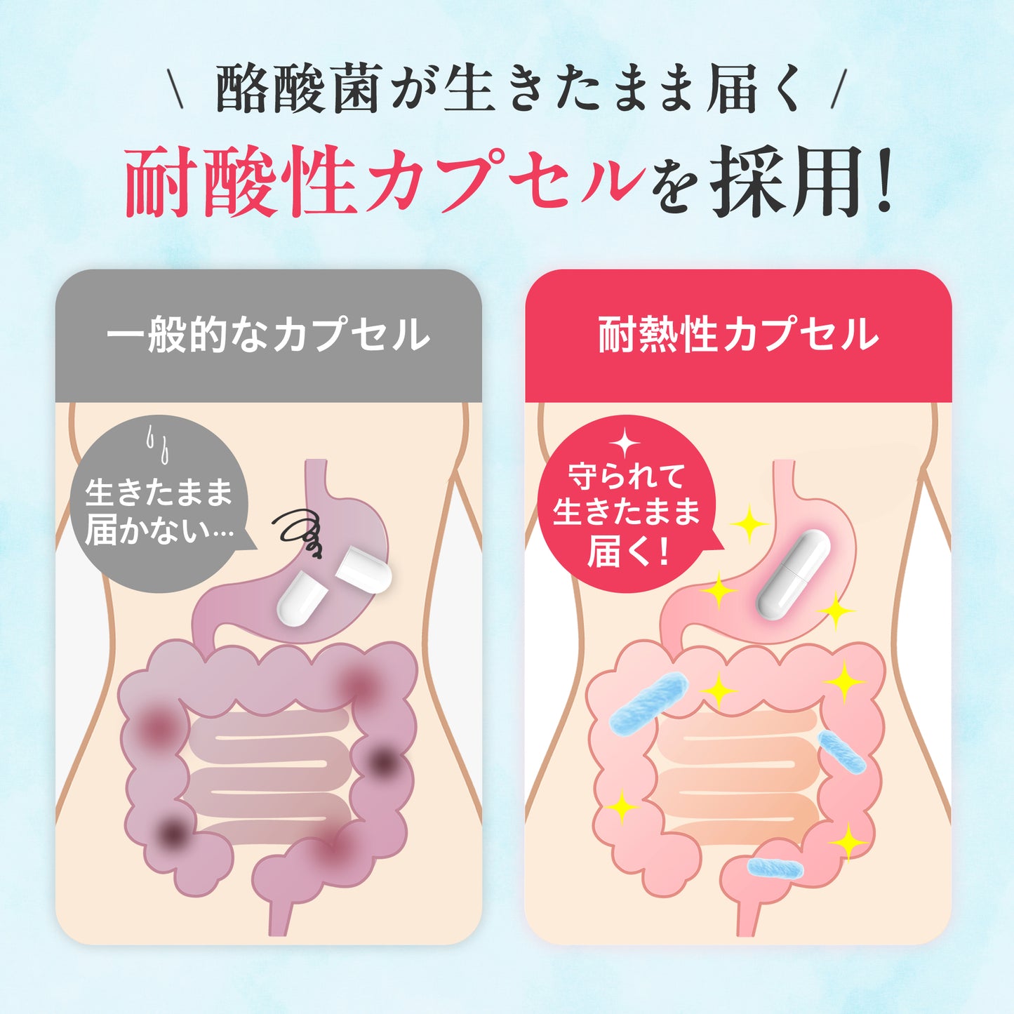 生きた酪酸菌40億個