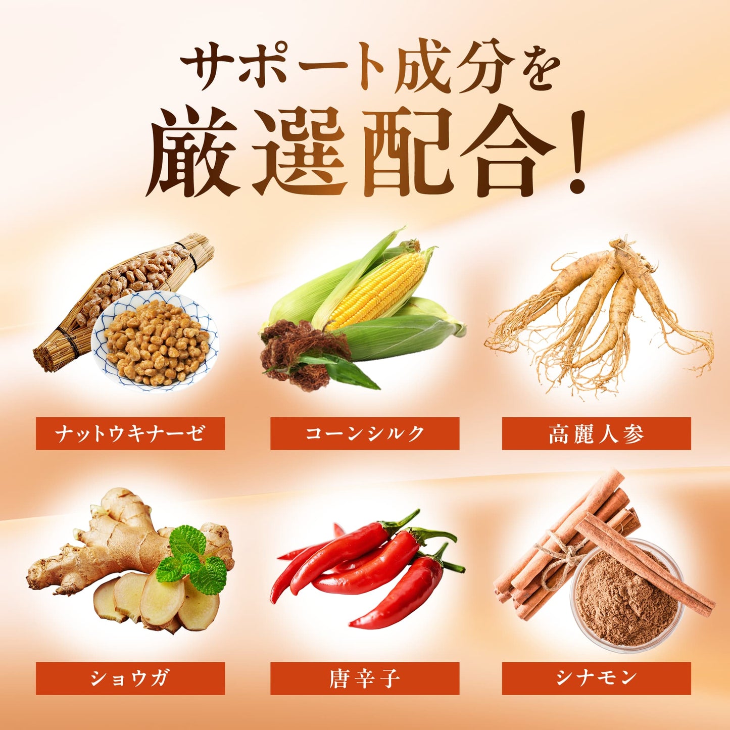 ヒハツ×ギャバWサポート