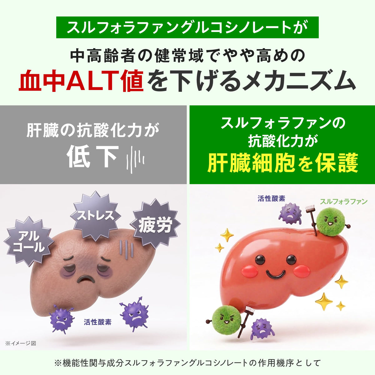 肝臓＆血圧対策トリプル