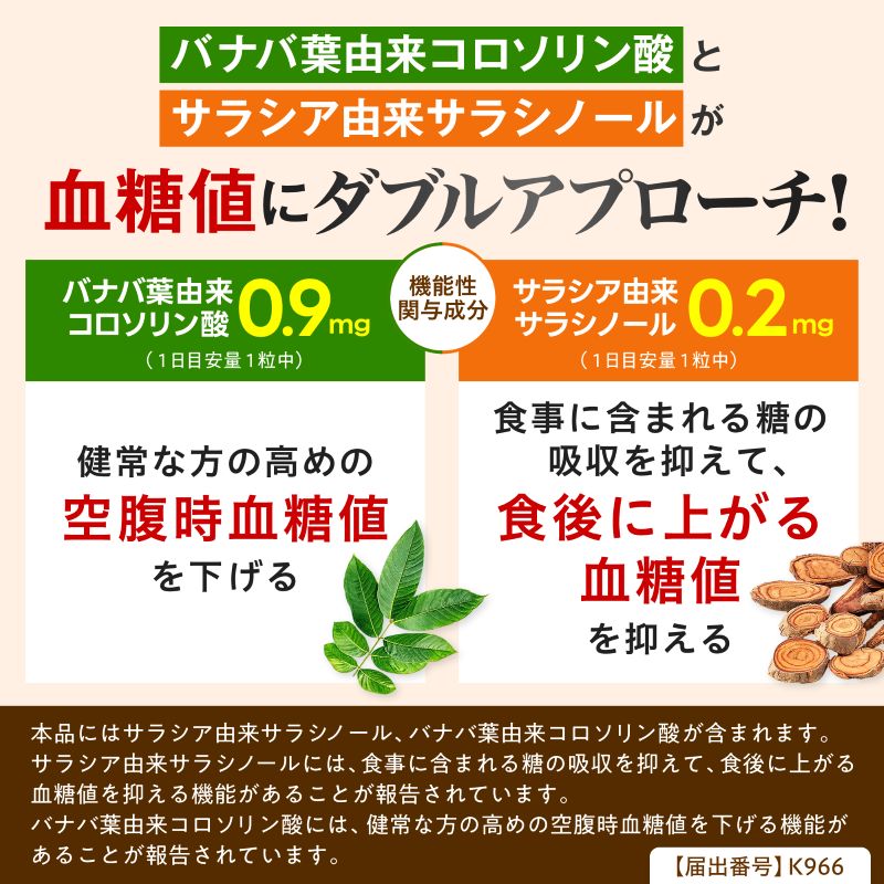 血糖値Wアシスト