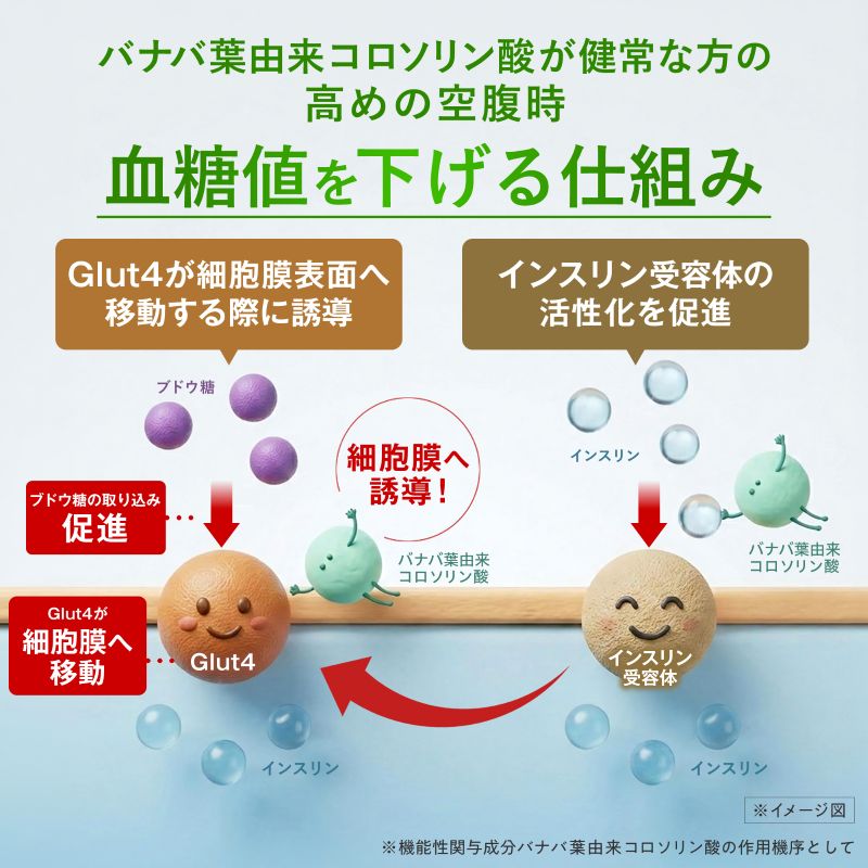 血糖値Wアシスト