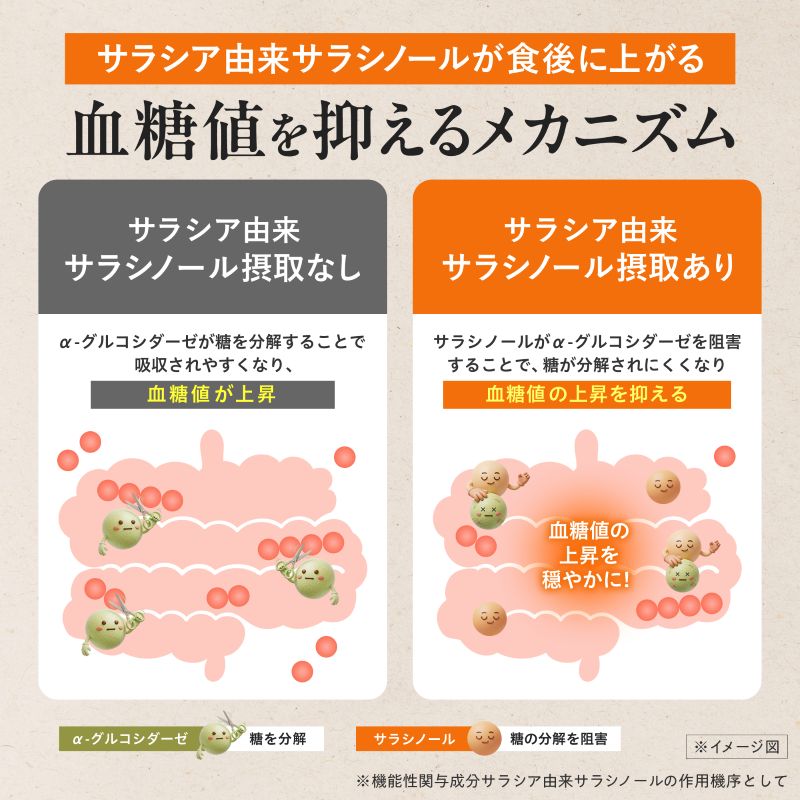 血糖値Wアシスト