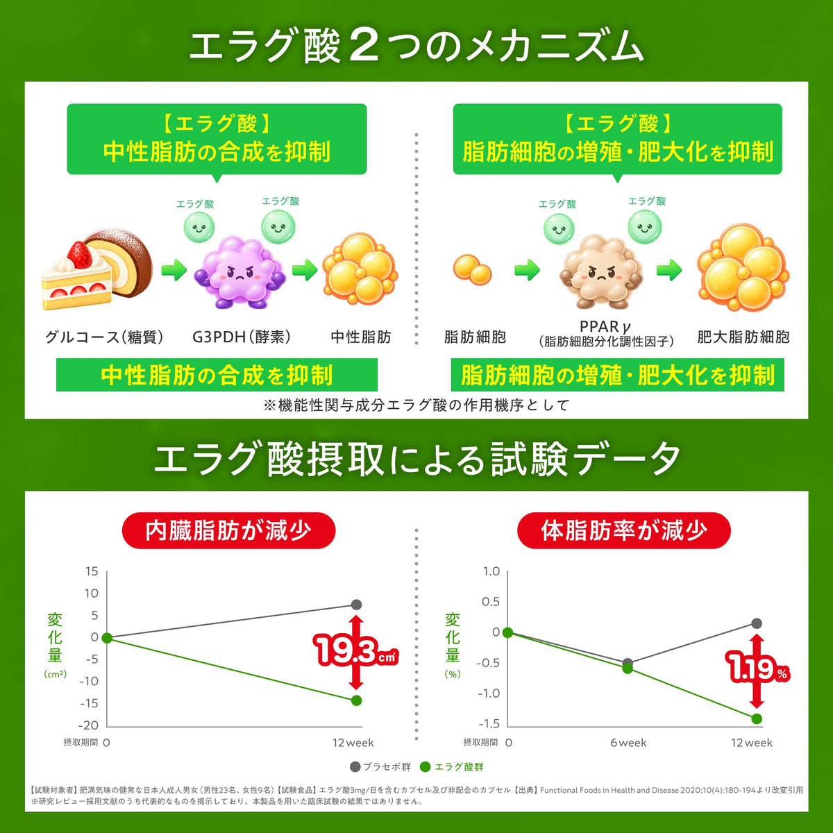 血糖値×コレステロール×体脂肪対策トリプル