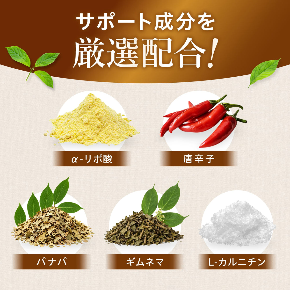 血糖値×コレステロール×体脂肪対策トリプル