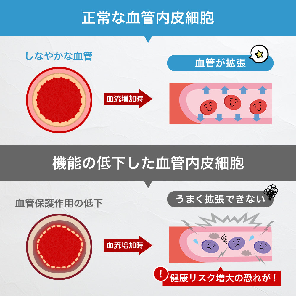 血管対策トリプル30粒