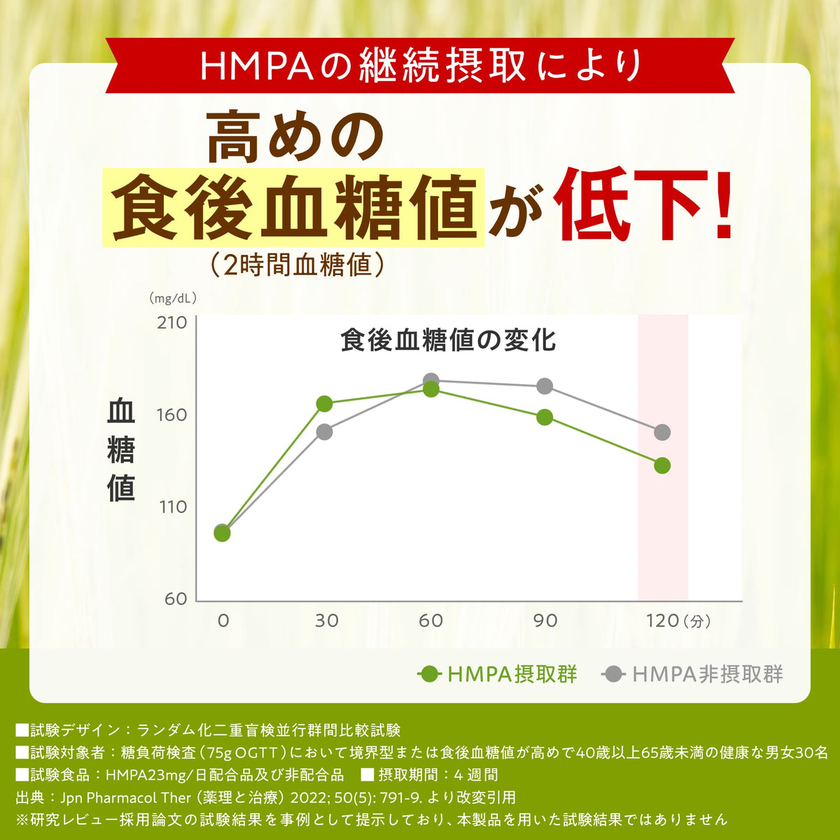 血糖値×コレステロール×体脂肪対策トリプル