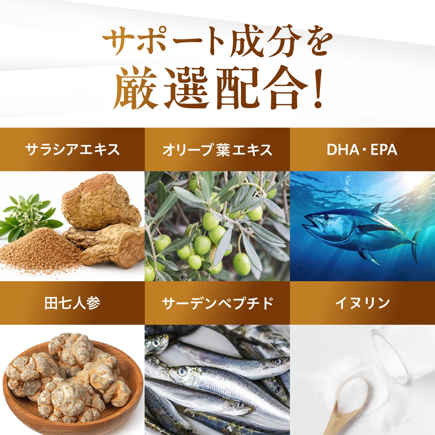 トリプルアシストGOLD
